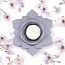 Lilac Flowers thumbnail