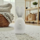 Luna The Bunny thumbnail