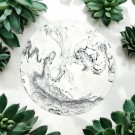 Vein Reflection thumbnail