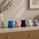 Teddy Bloom thumbnail