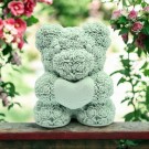 Teddy Bloom thumbnail
