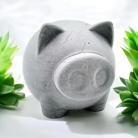 Grey Pig